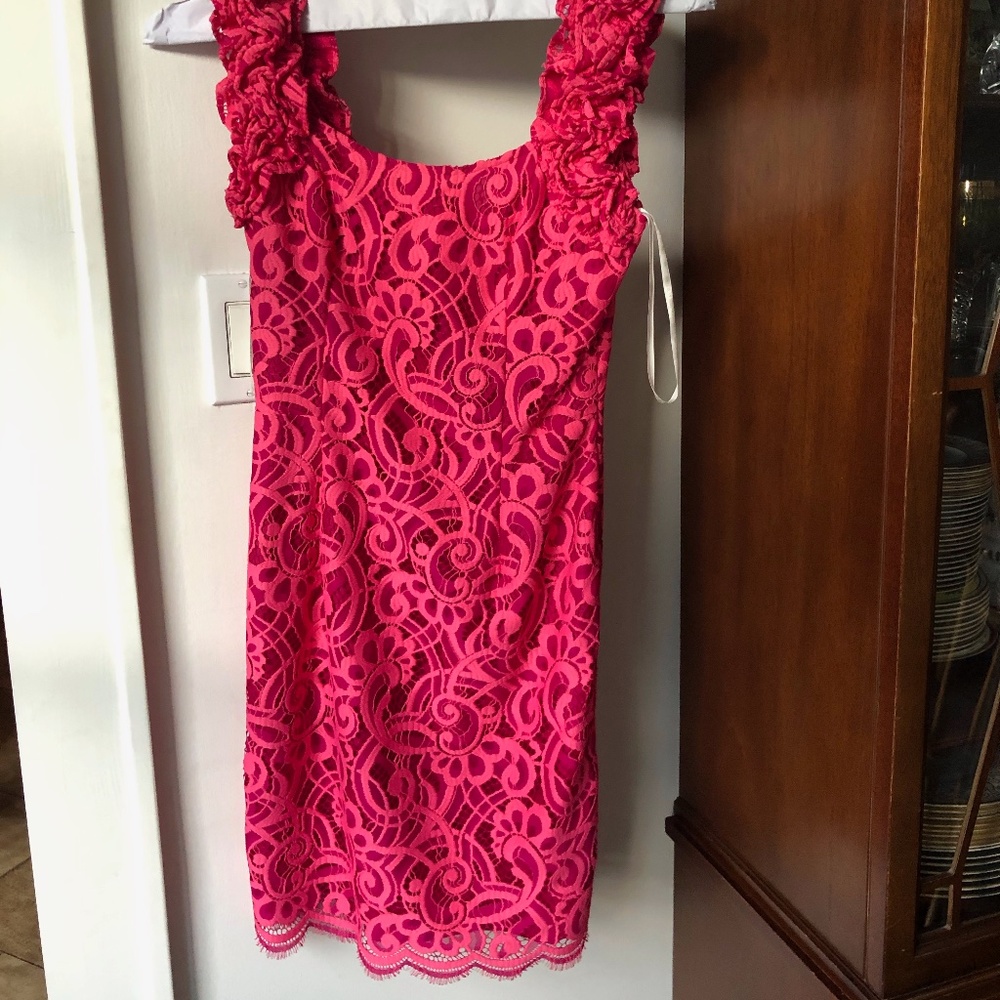 Pink Lace Dress (Only worn once!)